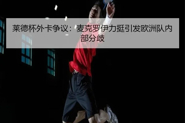 lai-de-bei-wai-ka-zheng-yi-mai-ke-luo-yi-li-ting-yin-fa-ou-zhou-dui-nei-bu-fen-qi-2-480.jpg